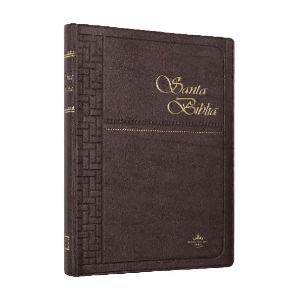 Biblia Reina Valera 1960 Mediana Letra Grande Vinil Negro