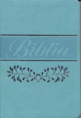 Biblia RVR066eLM/ Verde Menta Canto pintado/ Sin cierre