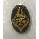 Pin LOGO rojo