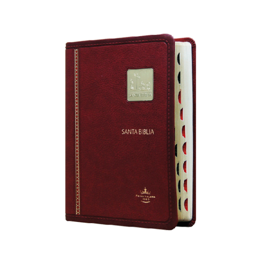 Biblia Reina Valera 1960 Chica Letra Mediana Imitación Piel Vino Placa [RVR045cLGTI]