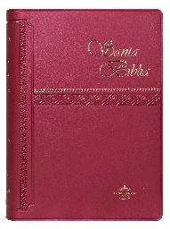 [SBM7017] Biblia Reina Valera 1960 Chica Letra Chica Vinil Vino