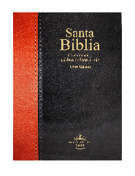[SBM1259] Biblia Reina Valera 1960 Grande Letra Gigante Rústica Negro Marrón