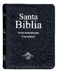[SBM1819] Biblia Fuente de Bendiciones Reina Valera 1960 Chica Letra Mediana Mezclilla Rosa