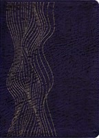 [CLC8664] Biblia / Estudio / Diario Vivir Ll Ik Pur RVR